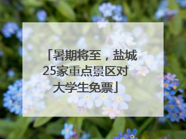 暑期将至，盐城25家重点景区对大学生免票