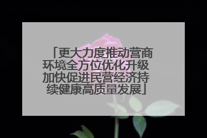 更大力度推动营商环境全方位优化升级加快促进民营经济持续健康高质量发展