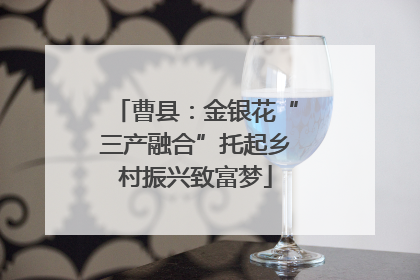 曹县：金银花“三产融合”托起乡村振兴致富梦