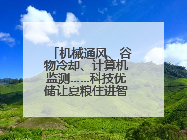 机械通风、谷物冷却、计算机监测……科技优储让夏粮住进智慧的“家”