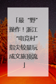 最“野”操作！浙江“电竞村”指尖较量玩成文旅顶流