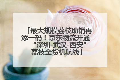 最大规模荔枝助销再添一码！京东物流开通“深圳-武汉-西安” 荔枝全货机航线