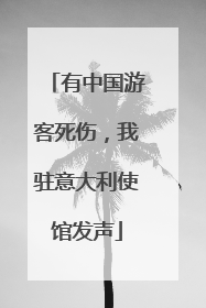 有中国游客死伤，我驻意大利使馆发声