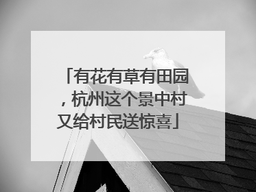 有花有草有田园，杭州这个景中村又给村民送惊喜