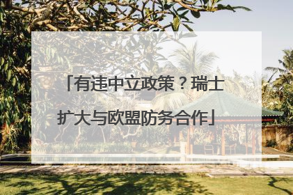 有违中立政策？瑞士扩大与欧盟防务合作