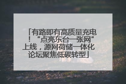 有路即有高质量充电！“点亮东台一张网”上线，源网荷储一体化论坛聚焦低碳转型