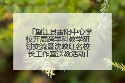 望江县雷阳中心学校开展跨学科教学研讨交流暨沈映红名校长工作室送教活动