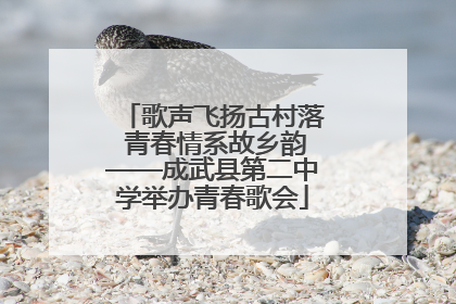 歌声飞扬古村落 青春情系故乡韵——成武县第二中学举办青春歌会