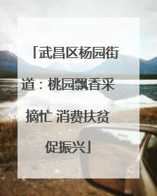 武昌区杨园街道：桃园飘香采摘忙 消费扶贫促振兴