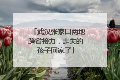 武汉张家口两地跨省接力，走失的孩子回家了