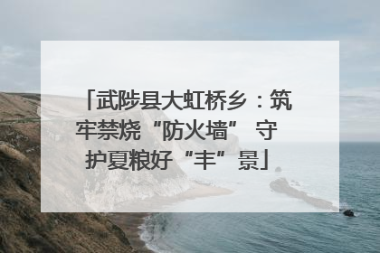 武陟县大虹桥乡：筑牢禁烧“防火墙” 守护夏粮好“丰”景