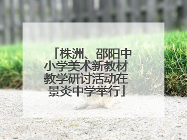株洲、邵阳中小学美术新教材教学研讨活动在景炎中学举行