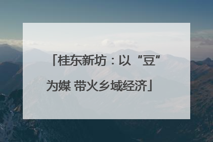 桂东新坊：以“豆”为媒 带火乡域经济