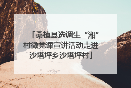 桑植县选调生“湘”村微党课宣讲活动走进沙塔坪乡沙塔坪村