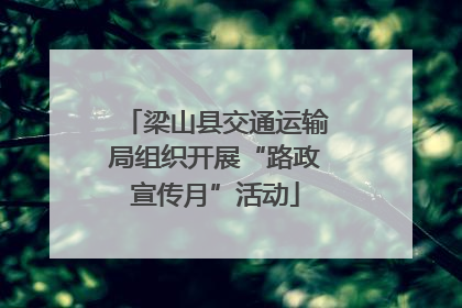 梁山县交通运输局组织开展“路政宣传月”活动