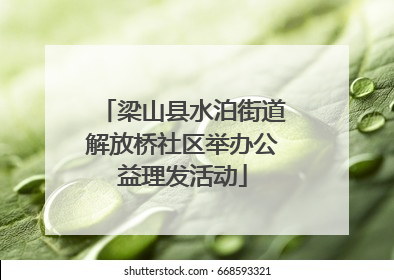 梁山县水泊街道解放桥社区举办公益理发活动
