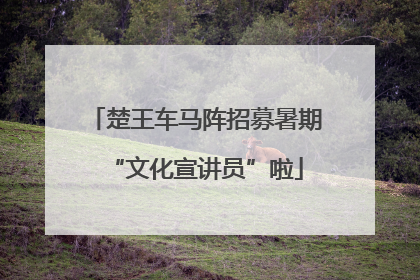 楚王车马阵招募暑期“文化宣讲员”啦