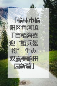 榆林市榆阳区鱼河镇千亩稻海喜迎“蟹兵蟹将” 生态双赢奏响田园新篇