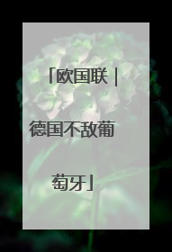 欧国联｜德国不敌葡萄牙
