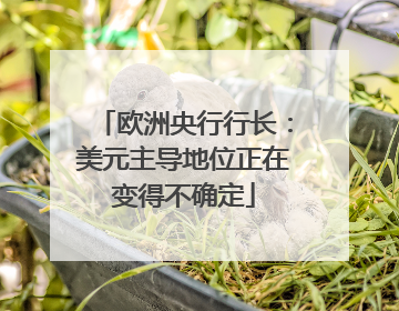 欧洲央行行长：美元主导地位正在变得不确定