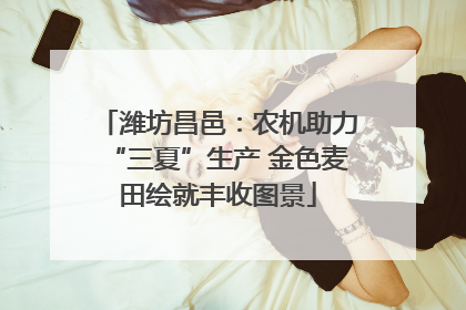 潍坊昌邑：农机助力“三夏”生产 金色麦田绘就丰收图景
