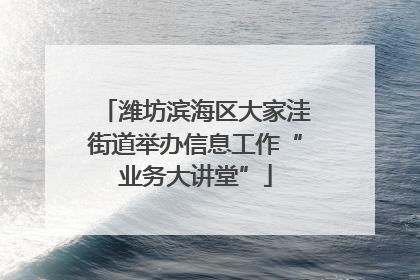 潍坊滨海区大家洼街道举办信息工作“业务大讲堂”