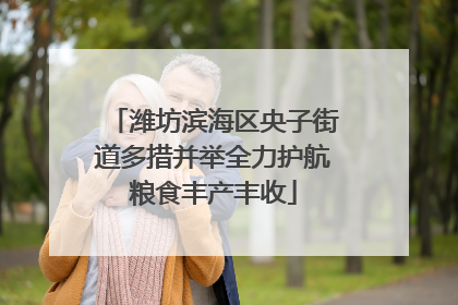 潍坊滨海区央子街道多措并举全力护航粮食丰产丰收