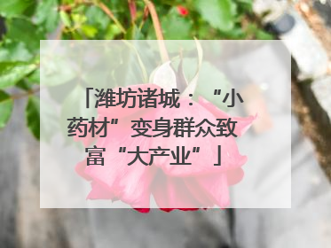 潍坊诸城：“小药材”变身群众致富“大产业”