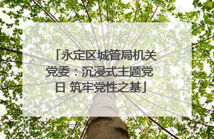 永定区城管局机关党委：沉浸式主题党日 筑牢党性之基