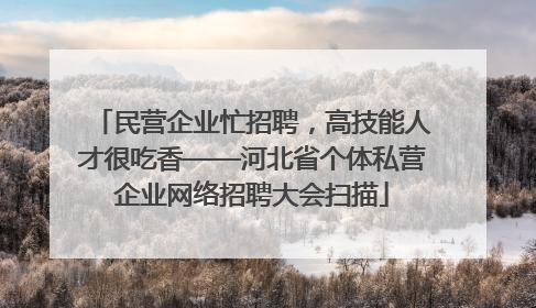 民营企业忙招聘，高技能人才很吃香——河北省个体私营企业网络招聘大会扫描