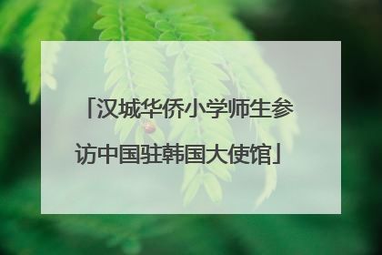 汉城华侨小学师生参访中国驻韩国大使馆