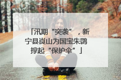 汛期“突袭”，新宁县崀山为国宝朱鹮撑起“保护伞”