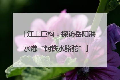 江上巨构：探访岳阳洪水港“钢铁水骆驼”