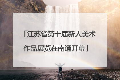 江苏省第十届新人美术作品展览在南通开幕