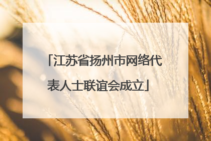 江苏省扬州市网络代表人士联谊会成立