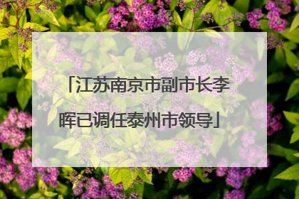 江苏南京市副市长李晖已调任泰州市领导