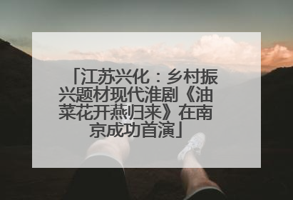 江苏兴化：乡村振兴题材现代淮剧《油菜花开燕归来》在南京成功首演