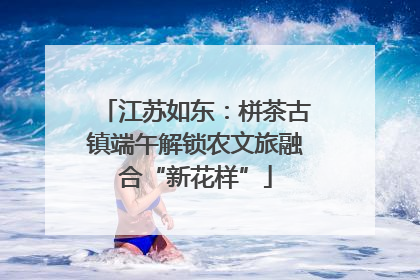 江苏如东：栟茶古镇端午解锁农文旅融合“新花样”