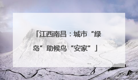 江西南昌：城市“绿岛”助候鸟“安家”
