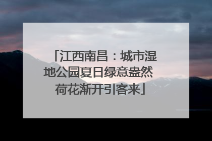 江西南昌：城市湿地公园夏日绿意盎然 荷花渐开引客来
