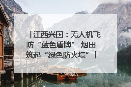 江西兴国：无人机飞防“蓝色盾牌” 烟田筑起“绿色防火墙”