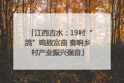江西吉水：19村“鸽”鸣致富曲 奏响乡村产业振兴强音