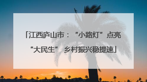 江西庐山市：“小路灯”点亮“大民生” 乡村振兴稳提速