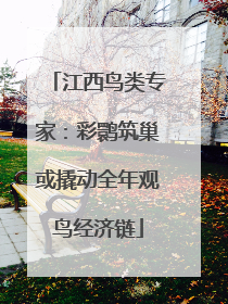 江西鸟类专家：彩鹮筑巢或撬动全年观鸟经济链