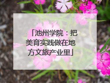 池州学院：把美育实践做在地方文旅产业里