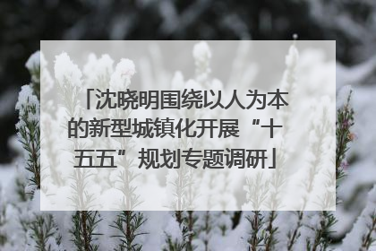 沈晓明围绕以人为本的新型城镇化开展“十五五”规划专题调研