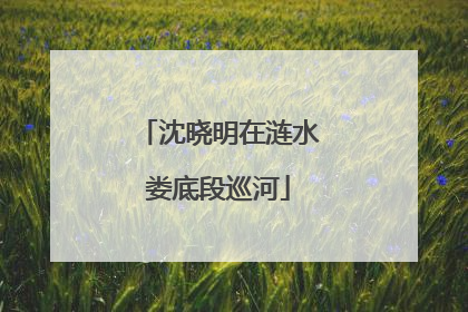 沈晓明在涟水娄底段巡河