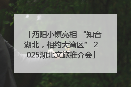 沔阳小镇亮相 “知音湖北，相约大湾区” 2025湖北文旅推介会