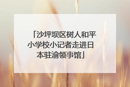 沙坪坝区树人和平小学校小记者走进日本驻渝领事馆