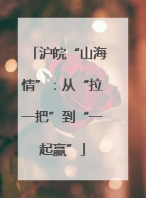 沪皖“山海情”：从“拉一把”到“一起赢”